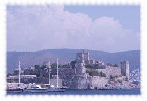 index006.jpg